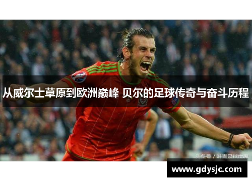 从威尔士草原到欧洲巅峰 贝尔的足球传奇与奋斗历程