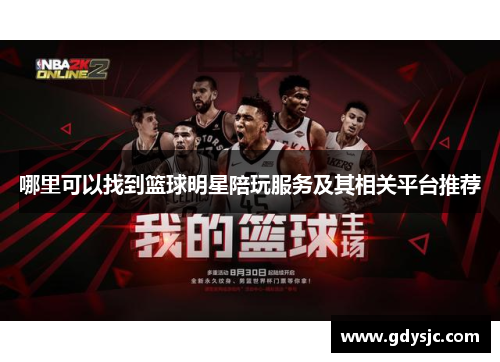 哪里可以找到篮球明星陪玩服务及其相关平台推荐