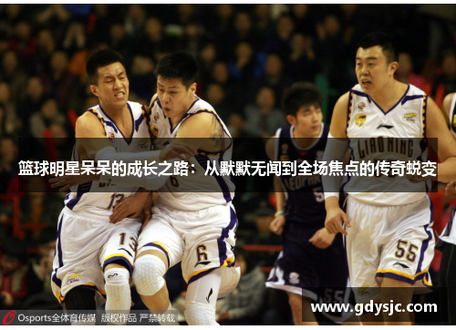 篮球明星呆呆的成长之路：从默默无闻到全场焦点的传奇蜕变